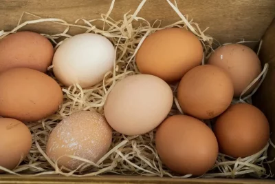 Huevos camperos frescos en cesta de mimbre, con cáscara marrón y fondo rústico de madera.