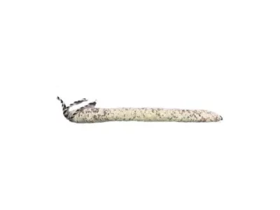 Fuet Aluju: embutido catalán con sabor auténtico y tradición artesanal Fuet Aluju entero, curado y cubierto de moho blanco natural, con cuerda en un extremo para colgar, sobre fondo claro, que resalta su textura artesanal y forma alargada.